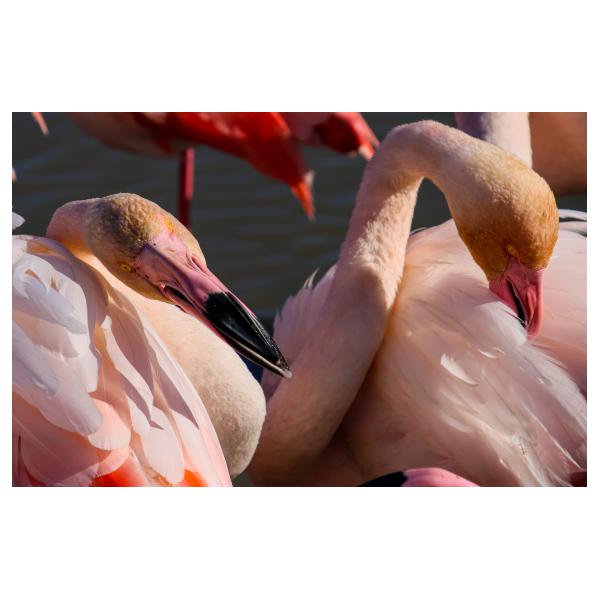 PHOTO84, CLUB, 84 , LUBERON